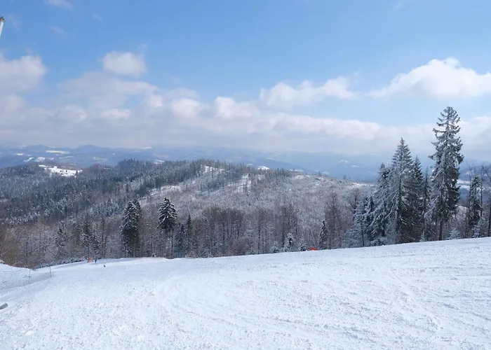 Pod Jaworem W Wisle בית חווה